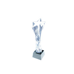 Crystal Star Award Medium
